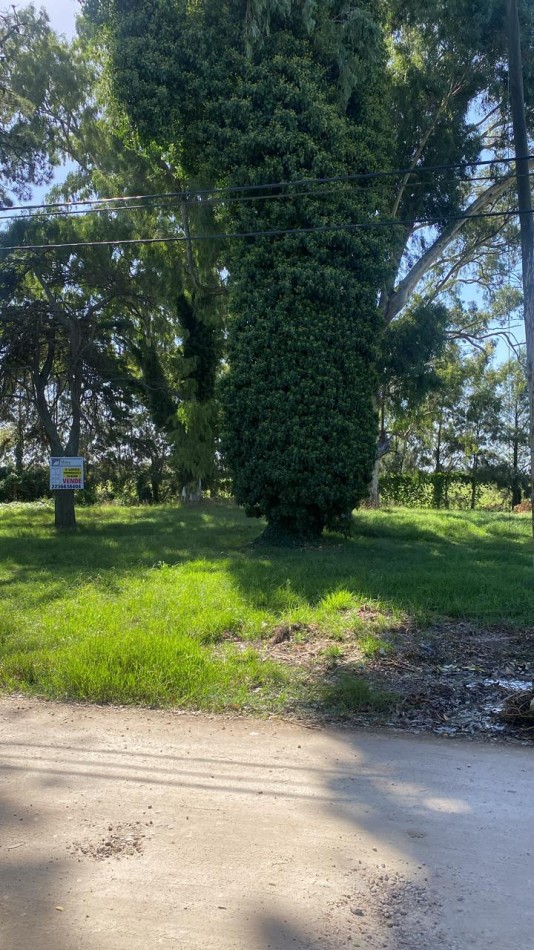 DOS LOTES EN BLOCK - LA FLORIDA - POSIBILIDAD DE FINANCIACION